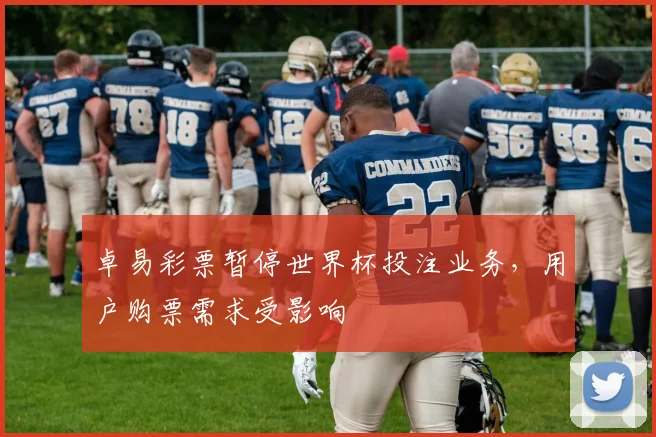 卓易彩票暂停世界杯投注业务,用户购票需求受影响